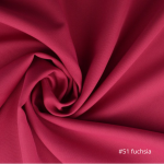 Fuchsia #51