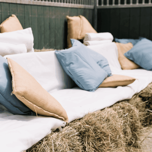 Blauwe sierkussens – bruiloft styling huren Blauwe sierkussens voor bruiloft styling – luxe kussens huren voor loungehoek en decoratie
