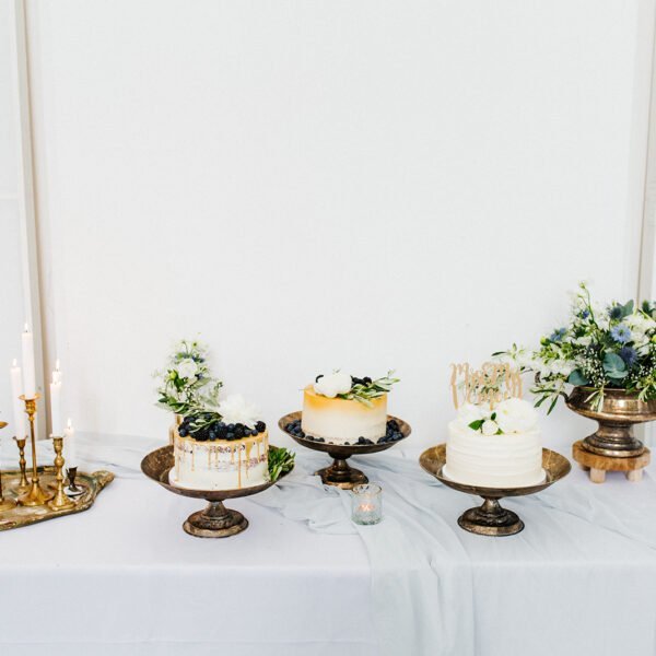 huur Feline Weddings (4) huur Feline Weddings (4)