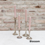 Ja, ik wil graag 10 blossomroze kaarsen bij kopen. +€13.50